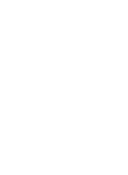 IT Capabilities