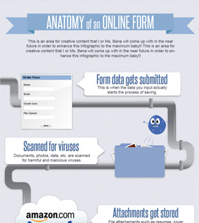 Anatomy of an Online Form