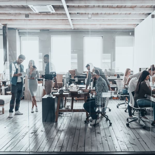 The Tips & Tools You Need to Build a Successful Hiring Process graphic