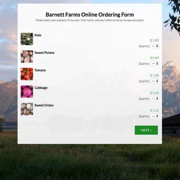 Online Order Form graphic