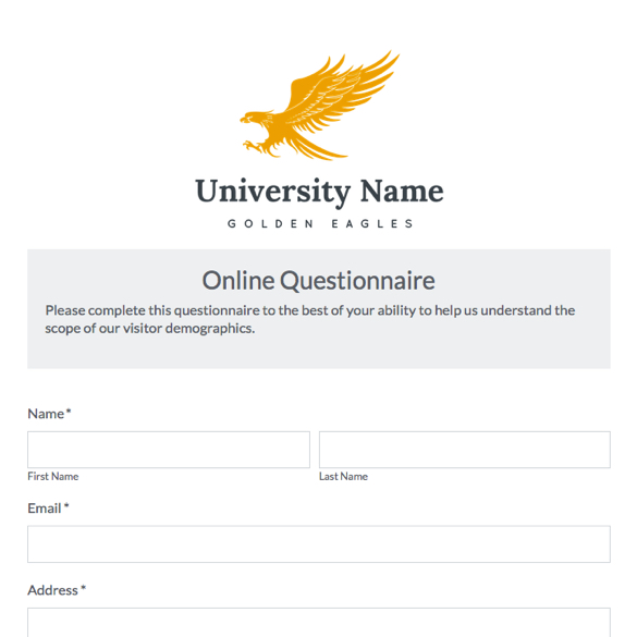 Online Questionnaire graphic